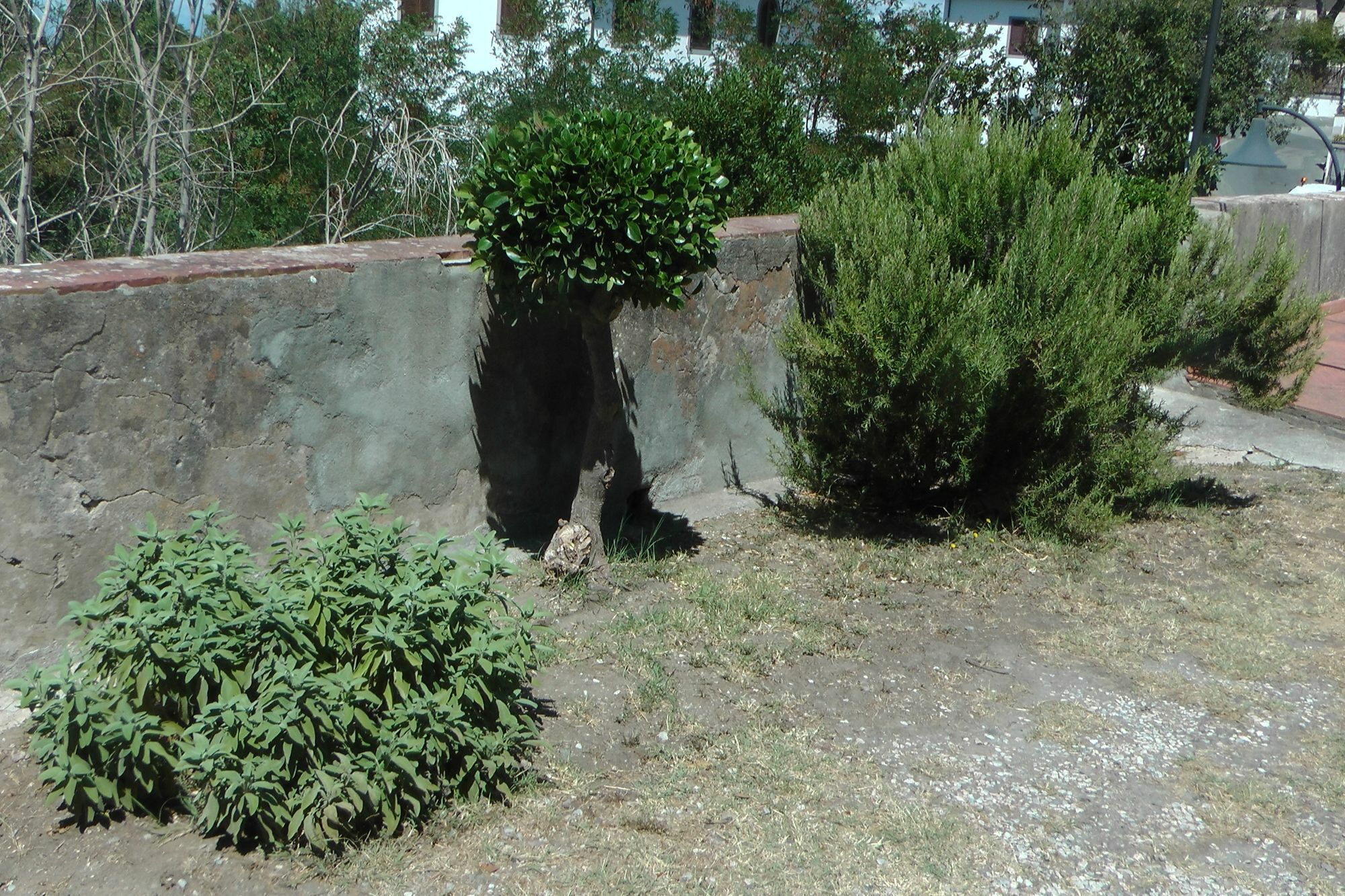 Ferienhaus Villa Della Querceta Livorno Eksteriør bilde
